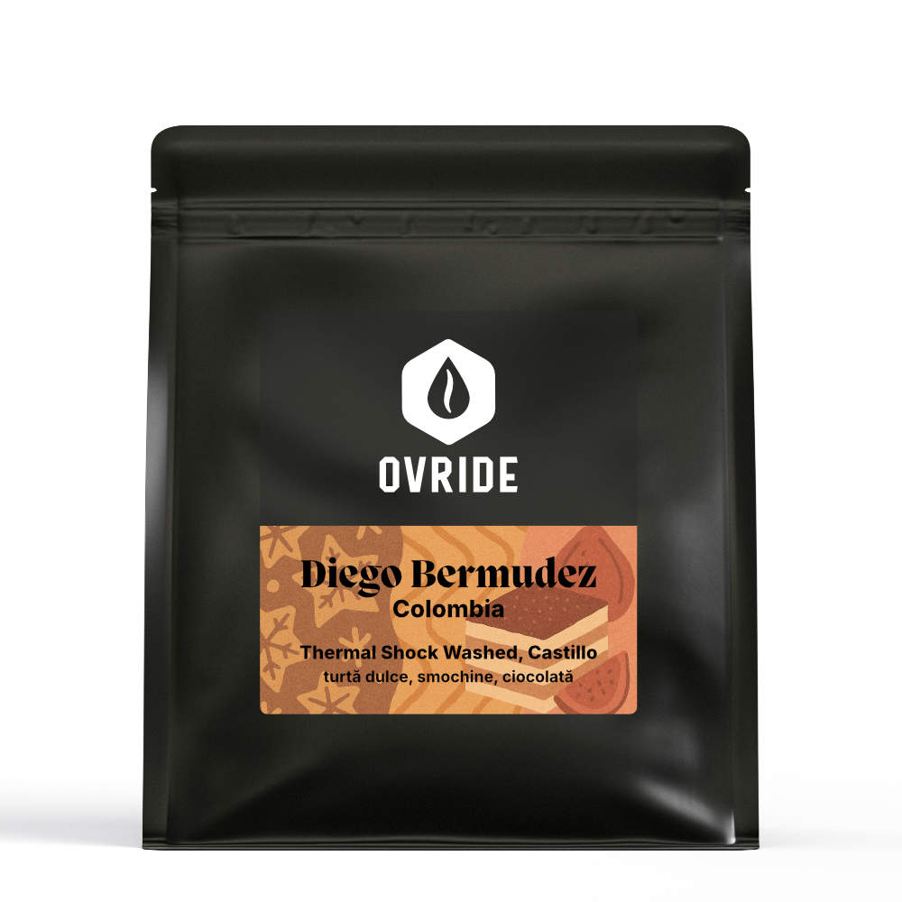 Diego Bermudez – Thermal Shock Washed