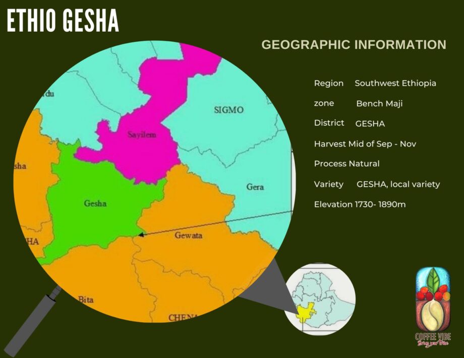 Gesha Farm – Natural – Ethiopia 5