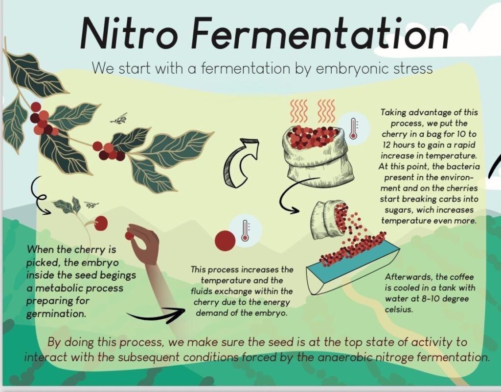Nitro Fermentation by Cafe Uba