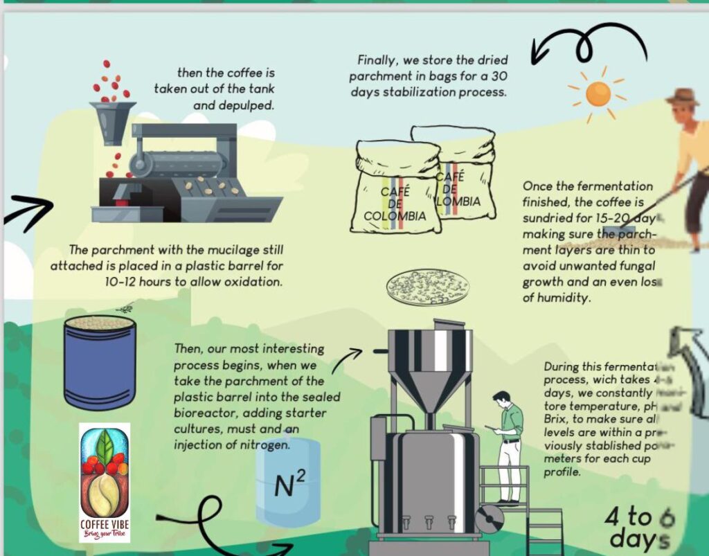 Cafe Uba Nitro bioreactor fermentation
