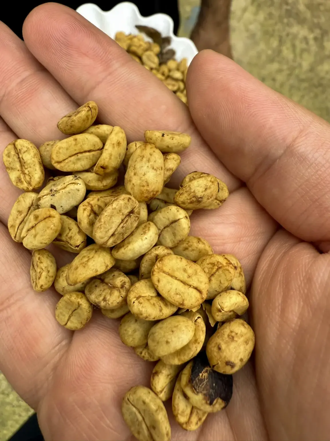 Crestones – Costa Rica 4