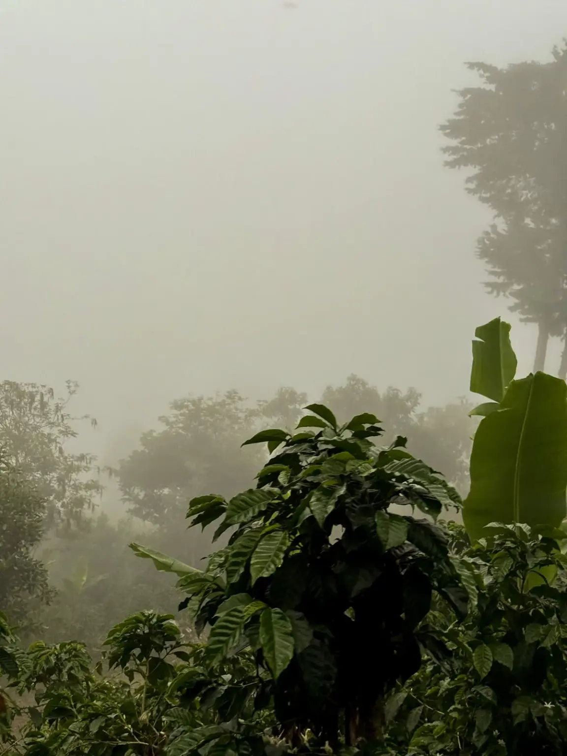 Crestones – Costa Rica 2