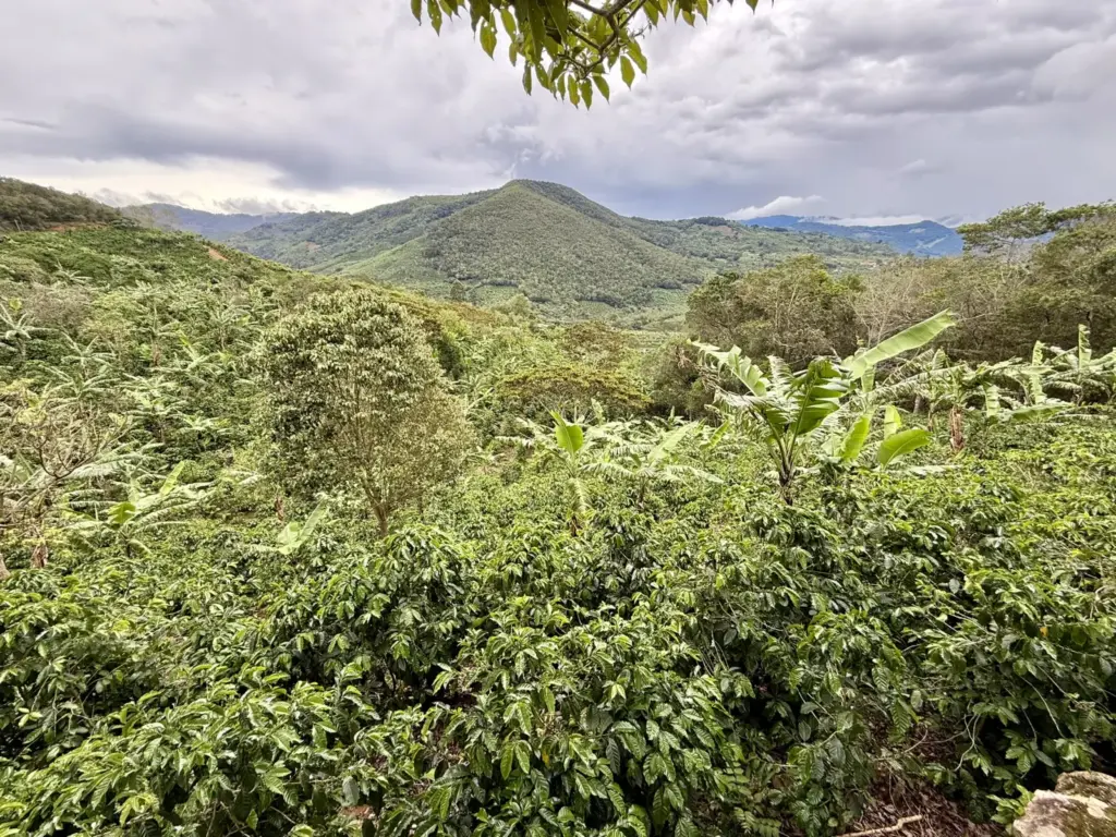Crestones – Costa Rica 5